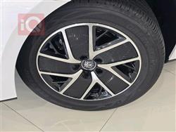 بي واي دي كوين L DM-i